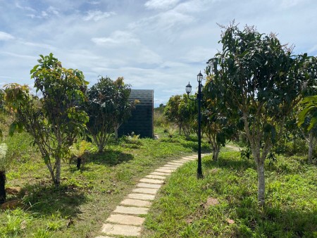 Đi đến slide 7
