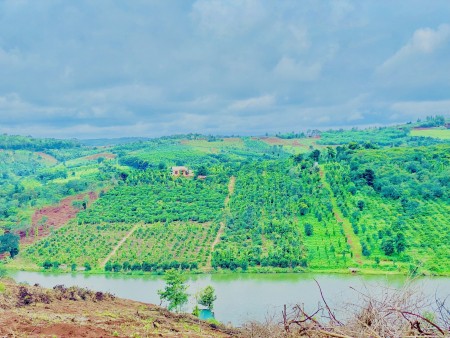 Đi đến slide 2
