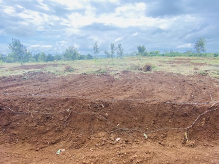 Đi đến slide 7