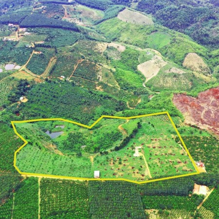 Đi đến slide 10