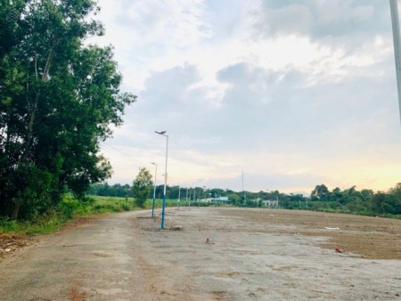 Đi đến slide 8