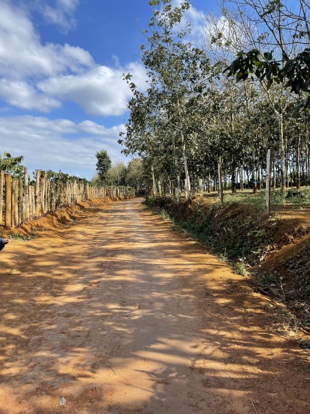Đi đến slide 8