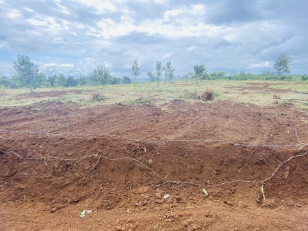 Đi đến slide 7