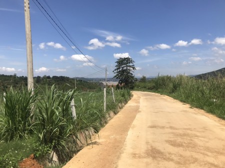 Bán gấp 353m2, có 100m2 thổ cư ở thôn tầm xá - Đông Thanh