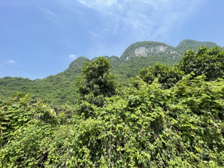Đi đến slide 6
