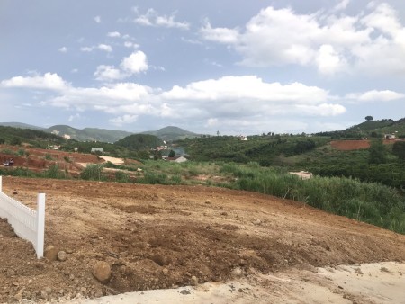 Cần Bán 1,1sao (1046m2),Bao 200m2 TC ở Nam Hà, vị trí đất đẹp giàu tiềm năng