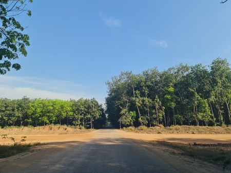 Đi đến slide 1