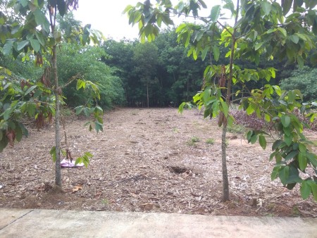 gia đình cần tiền bán 250m2 giá 350 triệu