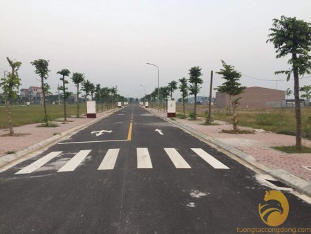 Khu đô thị Dĩnh Trì Quảng Trường thứ 2 của Bắc Giang cơ hội vàng cho các nhà đầu tư