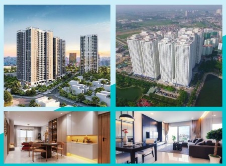 Ảnh bài viết: Top 5 chung cư Hoàng Mai bán giá tốt bạn không nên bỏ qua (Phần 2)