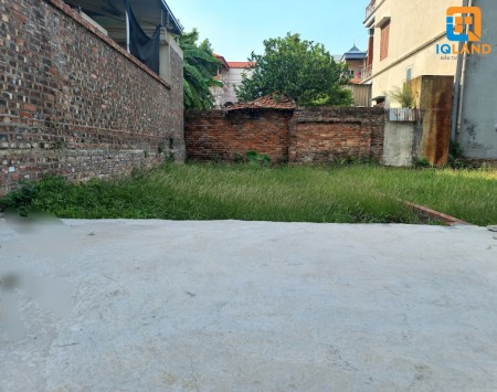 Chính chủ cần bán ô đất nhỏ xinh tại Đình Trung Xuân Nộn Đông Anh hà nội