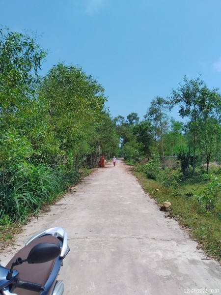 Đi đến slide 5