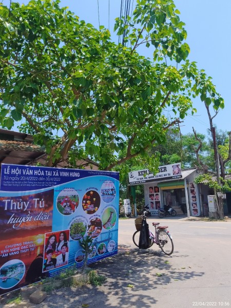 Đi đến slide 4