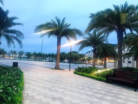 Cần bán nhanh căn 2N+1Vs Gía 1.550tr Tại Vin homes Ocean Park Lh:0976.366.513