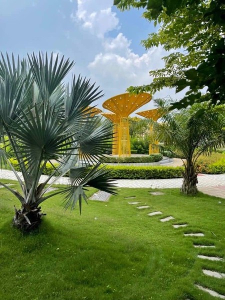 Đi đến slide 8