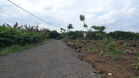 Bán Đất Sào Trảng Bom - Đồng Nai sổ hồng riêng, khu dân cư đông đúc, giá tốt tiện đầu tư