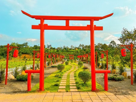 Nhịp sống thăng hoa cúng đất Second Home nghĩ dưỡng Bảo Lộc, sổ hồng từng nền