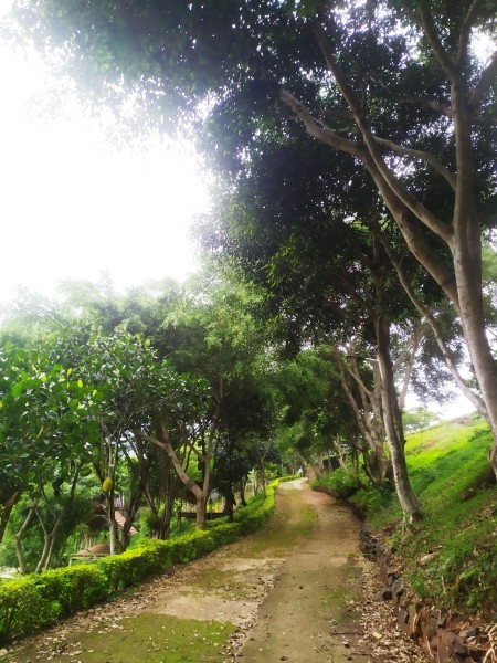 Đi đến slide 5