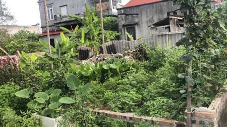 Lô đất lét cho các nhà đầu tư xuống tiền và xây nhà Đào Yêu Hồng Thái An Dương Hải Phòng.