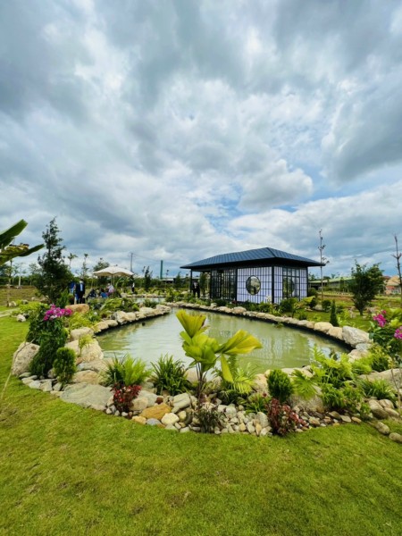 Đi đến slide 3