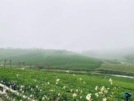 Sở hữu ngay đất nền Bảo Lộc view hồ Tảo Hồng view đồi chè Tam Châu khu du lịch, giá chỉ 2.4Tr/m2