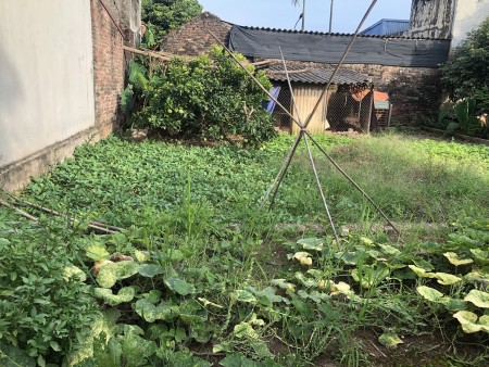 Chính chủ cần bán đất 48m2, tại Mộc Hoàn Vân Côn, Hoài Đúc, cách Đại Thăng Long 800m
