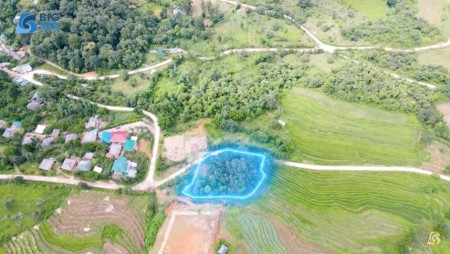 Đi đến slide 9
