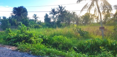 Bán Đất Vườn diện tích sử dụng 2500m2 giá bán 2ty5 diện tích sử dụng 1000m2