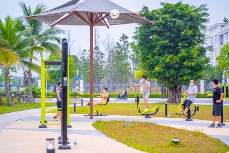 Đi đến slide 8