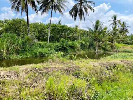 Đất ngay thị trấn định quán vị trí đẹp, giá tốt