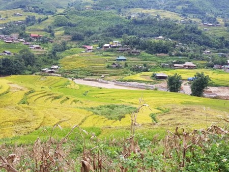 Đi đến slide 2
