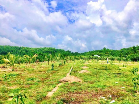 Bán mảnh vườn ngay Thị Trấn Định Quán Đồng Nai có hỗ trợ vay ngân hàng thanh toán linh hoạt