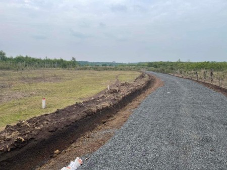 Chính Chủ gửi bán 4 sào đất tại Bình Phước giá tốt đầu tư sinh lời cao