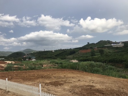 Kẹt tiền bán 1,1 sào xã Nam Hà có suối tự nhiên, sẵn 200m2 thổ cư, lh 0939159789