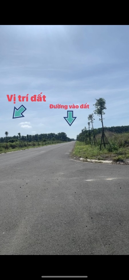 Đất nền Bàu Bàng Bình Dương phân lô khu đất tái định cư Becamex, lh 0329943371, giá đầu tư