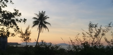 Đi đến slide 11