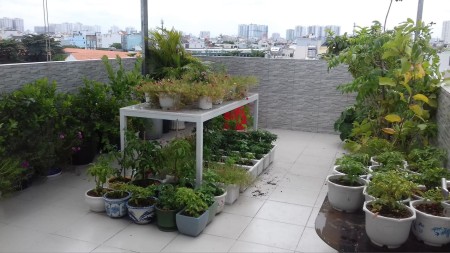Bán gấp nhà 6 tầng 38m² trung tâm Quận Tân Phú, có sổ hồng full nội thất