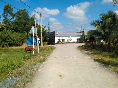 Đi đến slide 4