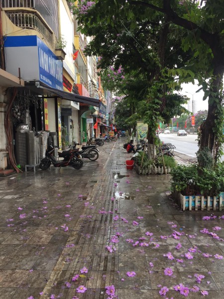 Đi đến slide 3