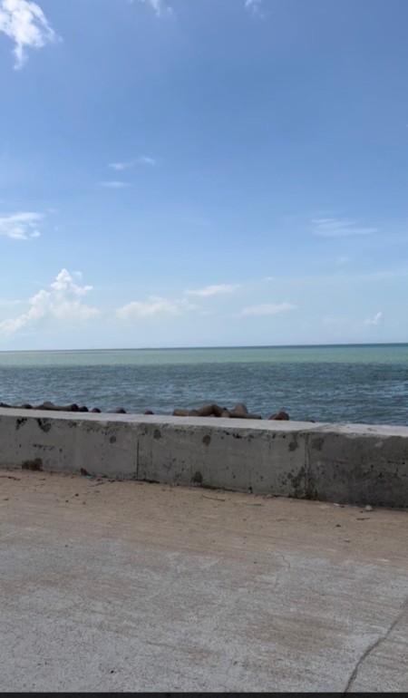 Bán đất ngay mặt tiền biển Phan Rang đầu tư Resort hoặc Khách Sạn Biển