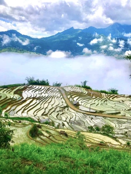 Đi đến slide 3