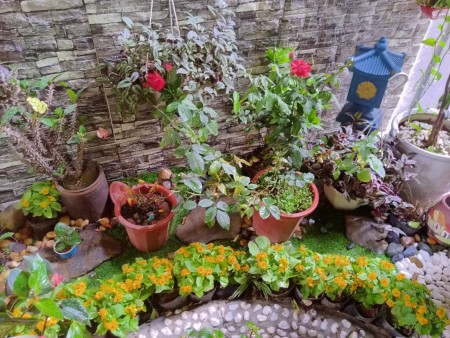 CC còn 01 văn phòng phố Duy Tân, dtsd 30m2 sàn gỗ, điều hòa, thang máy giá chỉ 3.5 triệu/tháng