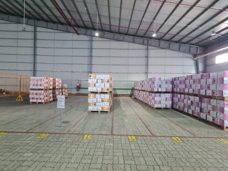 Cần cho thuê kho*500m2-10.000m2 KCN Long Hậu, Long Hậu, Cần Giuộc, Long An