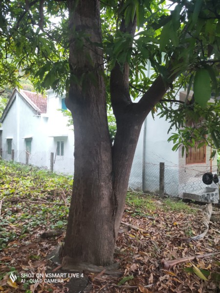 Định cư xa, cần bán đất 400m2 thổ cư tại thôn Minh Đức, xã Bình Kiến lh 0913886947