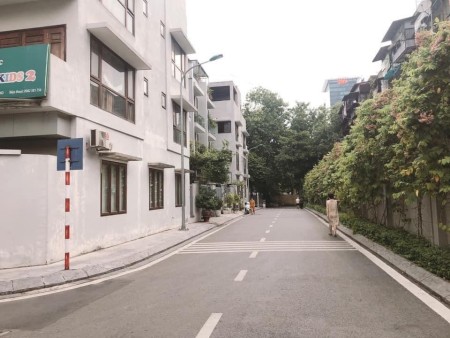 Bán thửa đất còn sót ngõ 699 Lạc Long Quân, 3 ôtô tránh, dt 52m2, mặt tiền 4.2m, hướng Tây Bắc