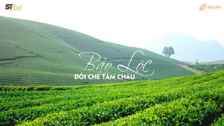 Đi đến slide 2