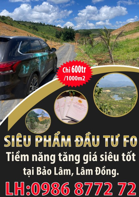 Siêu phẩm đầu tư F0, tiềm năng tăng giá siêu tốt tại Bảo Lâm, Lâm Đồng. 1 lô chỉ từ 600 triệu/1000m2