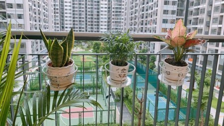 Bán cắt lỗ căn 2PN 2WC Vinhomes Ocean Park 2 tỷ bao phí, tầng thấp, ban công ĐN – TB : 0984 189 684