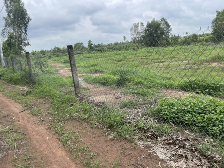 Đất mẫu Hàm Tân, 2 mặt đường - cách lộ nhựa 500m sổ hồng riêng