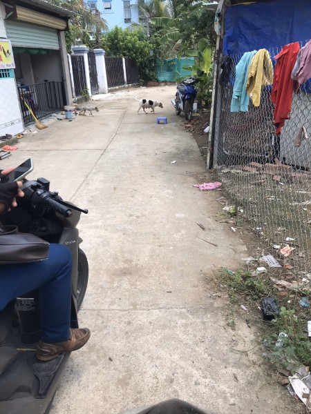 Đi đến slide 4